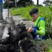 metas de mantenimiento