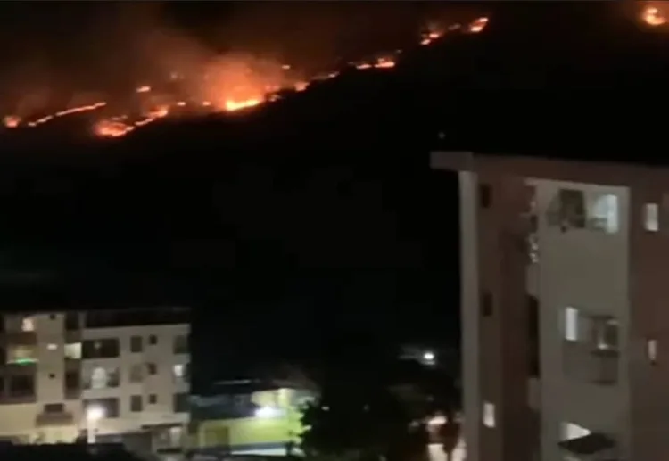 Incendio en el parque