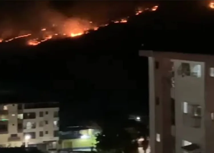 Incendio en el parque