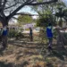 Trabajos de mantenimiento