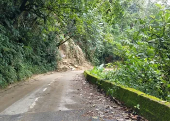 Carretera Choroní