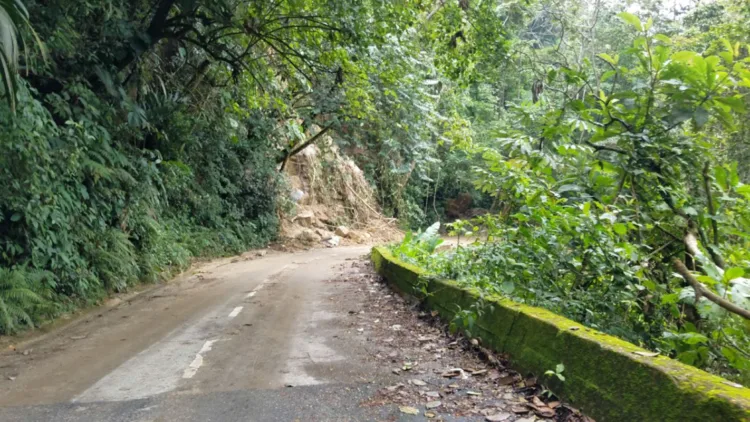 Carretera Choroní