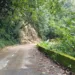 Carretera Choroní