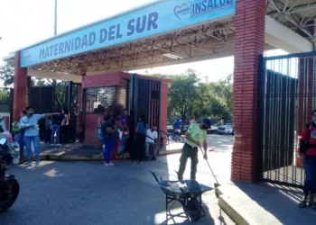 Maternidad del sur