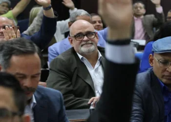 representante ante la AN del Consejo de Estado