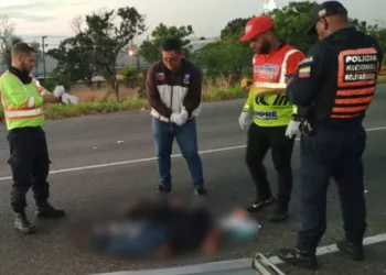 Un sexagenario murió atropellado en la Autopista Regional del Centro durante la mañana del lunes.