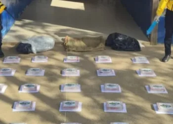 Las autoridades policiales incautaron este 9 de febrero un total de 30 panelas de cocaína, en un operativo en el río Boca de Yaracuy, municipio Silva.