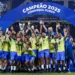 Brasil se coronó campeón