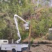 Corpoelec efectuará mantenimiento