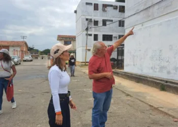 Dina Castillo, alcaldesa del municipio Valencia, llevó a cabo una inspección para constatar el avance de los trabajos que tienen lugar en la comunidad El Palotal de la parroquia Santa Rosa.