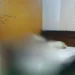 Un cuerpo sin vida fue hallado en un apartamento de la urbanización Tulipán, en el municipio San Diego.