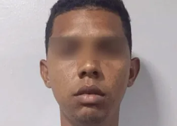 Un sujeto de 25 años de edad fue detenido por presuntamente haber cometido trato cruel contra sus hijastros en Puerto Cabello.