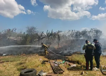 Un hombre conocido como "El Maracucho" fue detenido en Valencia por provocar un incendio forestal, luego de haber quemado neumáticos en el asentamiento campesino Fundación Brisas de Apasuval, en Miguel Peña.