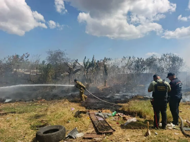 Un hombre conocido como "El Maracucho" fue detenido en Valencia por provocar un incendio forestal, luego de haber quemado neumáticos en el asentamiento campesino Fundación Brisas de Apasuval, en Miguel Peña.