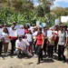 Un total de 32 títulos agrarios fueron entregados a productores locales del sector Pitiguao, por parte del Instituto Nacional de Tierras (INTI) en conjunto con las autoridades municipales de Puerto Cabello.