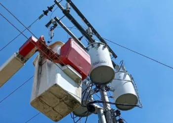 La Corporación Eléctrica Nacional (Corpoelec) anunció haber realizado trabajos de poda de 3 kilómetros de vegetación, en beneficio de más de 4 mil 400 usuarios en cinco municipios de Carabobo.