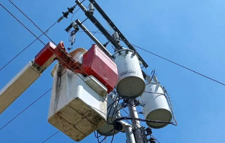 La Corporación Eléctrica Nacional (Corpoelec) anunció haber realizado trabajos de poda de 3 kilómetros de vegetación, en beneficio de más de 4 mil 400 usuarios en cinco municipios de Carabobo.