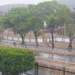 Amaneció lloviendo
