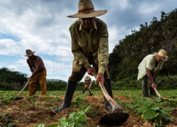 Día del Campesino