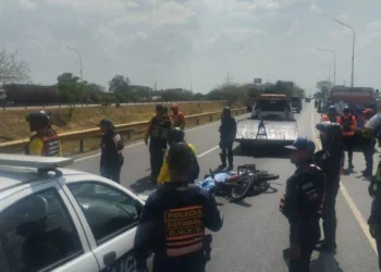 muertos por hechos viales