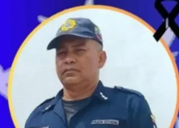 Un funcionario de la Policía del Estado Portuguesa murió este sábado en el sector Campo Carabobo, cuando el vehículo en el que se trasladaba impactó un caballo