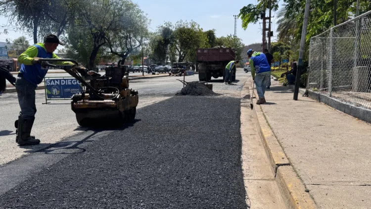 bacheo