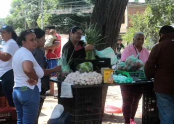 Más de 422 familias del sector Araguaney 2A de la parroquia Yagua se beneficiaron de la Feria del Campo Soberano, organizada a través de los Comités Locales de Abastecimiento y Producción (CLAP). De acuerdo con las autoridades locales, los ciudadanos del sector pudieron adquirir alimentos a precios accesibles, con el objetivo de mejorar su economía familiar, según las instrucciones emitidas por el Ejecutivo nacional, en conjunto con el gobernador Rafael Lacava. Se estima que unas nueve comunidades fueron atendidas, entre las que destacan Valles de Yagua, San Esteban, Las Mandarinas, La Manga, El Limón, El Porvenir, Quebrada Honda y Maracaibera. La cantidad de familias atendidas supera las 3 mil 681, lo que equivaldría a unas 11 mil 043 personas. Varios residentes de las comunidades manifestaron su satisfacción con la iniciativa, que incluyó diversos tipos de alimentos.