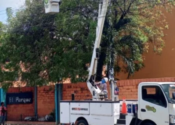La Corporación Eléctrica Nacional (Corpoelec) benefició a más de 10 mil usuarios de los municipios Valencia, San Diego, Bejuma y Naguanagua a través del Plan Nacional Pica y Poda.