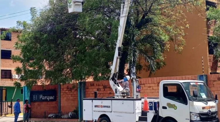 La Corporación Eléctrica Nacional (Corpoelec) benefició a más de 10 mil usuarios de los municipios Valencia, San Diego, Bejuma y Naguanagua a través del Plan Nacional Pica y Poda.