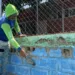 rehabilitación de cancha