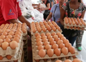 La sociedad venezolana tiene un consumo de pollo y huevo situado en un 65 %, lo que convierte a los productos aviares en los más consumidos en el país en lo que a proteínas respecta.