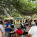 Alta participación
