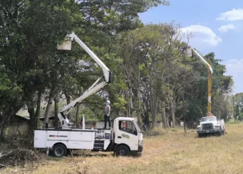 Corpoelec ejecuta