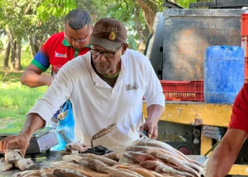 Feria del Pescado