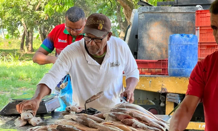 Feria del Pescado