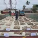 Las autoridades nacionales incautaron más de 900 kilogramos de chigüire y baba, que iban a ser vendidos de forma ilegal durante esta Semana Santa.