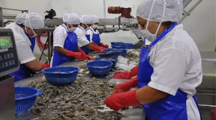 camarón producido en Venezuela