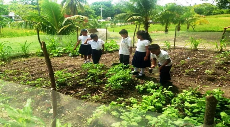 conucos escolares