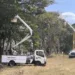 La Corporación Eléctrica Nacional (Corpoelec) instaló cuatro transformadores y ejecutó labores de mantenimiento correctivo en líneas de media y baja tensión.