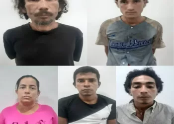 Funcionarios del Cuerpo de Investigaciones Científicas, Penales y Criminalísticas (Cicpc) capturaron a cinco personas en Tocuyito por presuntamente haber robado en una agropecuaria de la zona.