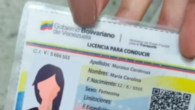motorizados