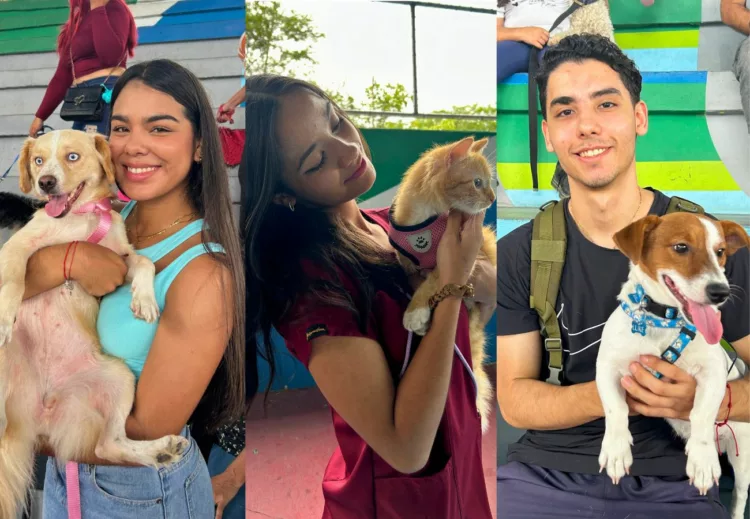 mascotas