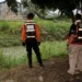 monitoreo permanente