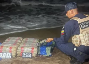 Un cargamento de 100 panelas de droga fue hallado en el sector Campechano del estado Falcón, por funcionarios de la Policía Nacional Bolivariana.