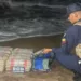 Un cargamento de 100 panelas de droga fue hallado en el sector Campechano del estado Falcón, por funcionarios de la Policía Nacional Bolivariana.
