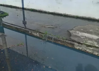 Aguas fecales