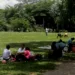 Parque Negra Hipólita