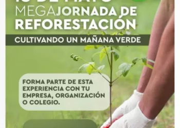 Reforestación