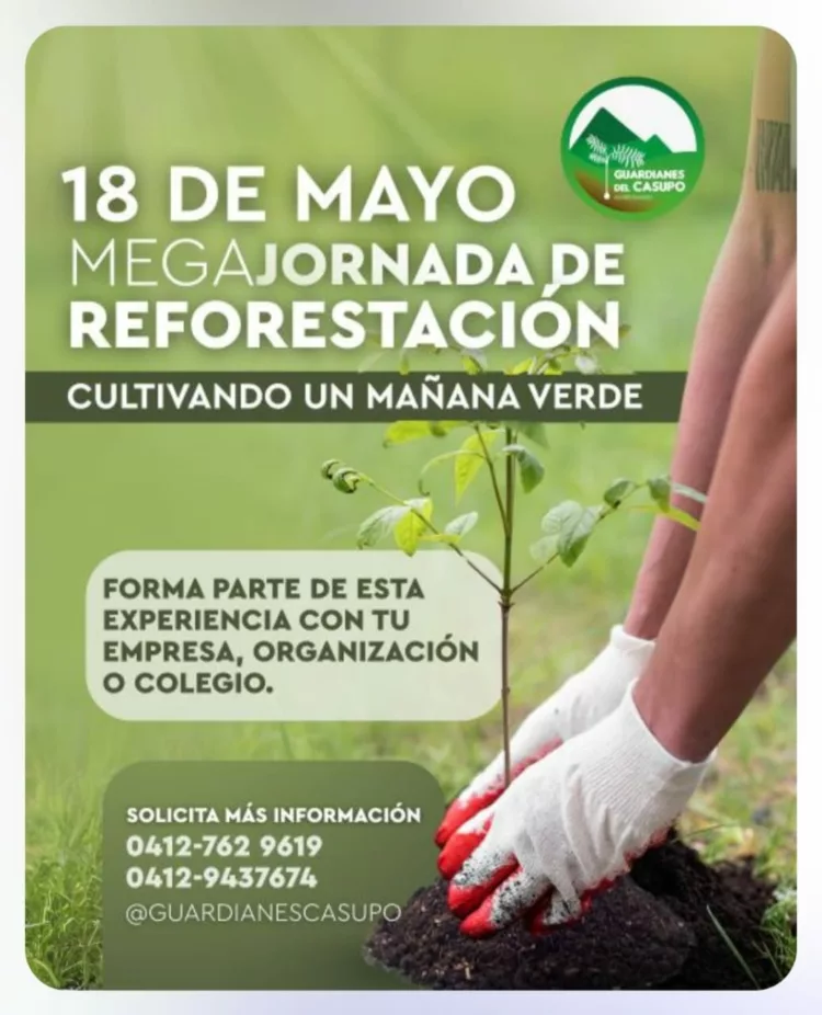 Reforestación