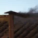 ¡Humo negro! Aun no hay nuevo Papa